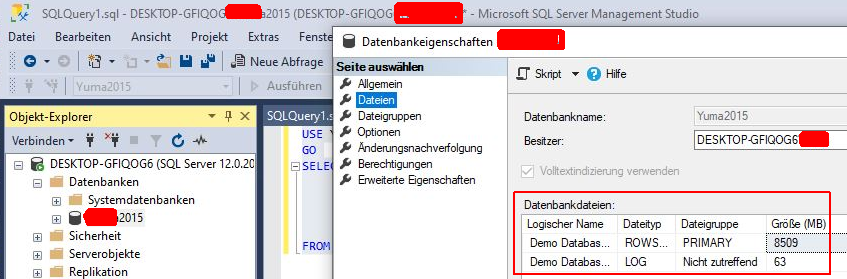 Screenshot Navision/Business Central SQL Datenbank Datenbankgröße und Transactionlog Größe